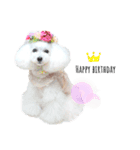 白ぷー♡シュッたん（個別スタンプ：17）