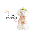 白ぷー♡シュッたん（個別スタンプ：18）