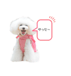 白ぷー♡シュッたん（個別スタンプ：19）