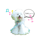 白ぷー♡シュッたん（個別スタンプ：20）