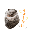 ハリネズミふーちゃんの日常2（個別スタンプ：4）