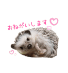ハリネズミふーちゃんの日常2（個別スタンプ：5）