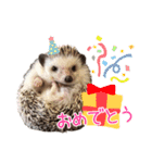 ハリネズミふーちゃんの日常2（個別スタンプ：7）