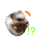 ハリネズミふーちゃんの日常2（個別スタンプ：9）