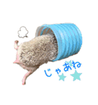 ハリネズミふーちゃんの日常2（個別スタンプ：19）