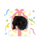 ルイだよ！（個別スタンプ：5）