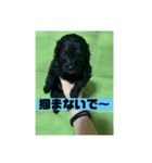 ルイだよ！（個別スタンプ：8）