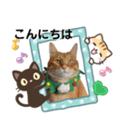 Ginger Tabby Cat Brothers 12（個別スタンプ：2）