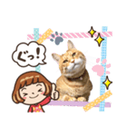 Ginger Tabby Cat Brothers 12（個別スタンプ：3）