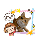 Ginger Tabby Cat Brothers 12（個別スタンプ：5）