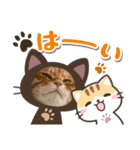 Ginger Tabby Cat Brothers 12（個別スタンプ：7）