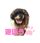 H.M.P.Y（個別スタンプ：14）