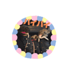 H.M.P.Y（個別スタンプ：16）
