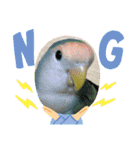 5鳥ちゃん（個別スタンプ：11）