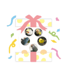 5鳥ちゃん（個別スタンプ：12）