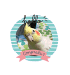 5鳥ちゃん（個別スタンプ：14）