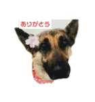 グリーンファミリー3（個別スタンプ：1）