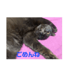 にゃんずで返信（個別スタンプ：8）