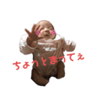 がちゅこ（個別スタンプ：15）