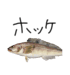 お魚しりーず（個別スタンプ：5）