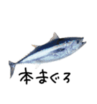 お魚しりーず（個別スタンプ：14）