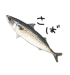 お魚しりーず（個別スタンプ：18）