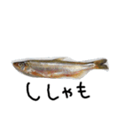 お魚しりーず（個別スタンプ：22）