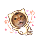 いつも一緒！姉妹猫ピノミルクの毎日（個別スタンプ：2）