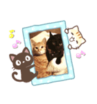 いつも一緒！姉妹猫ピノミルクの毎日（個別スタンプ：7）