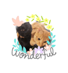 いつも一緒！姉妹猫ピノミルクの毎日（個別スタンプ：8）