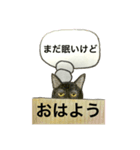 アクの強い ネコ たち 1 基本編 ver2（個別スタンプ：3）