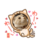 茶トラのだいずとまめ5（個別スタンプ：13）