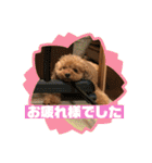 レックアンドチーズ(チーズメイン)（個別スタンプ：8）