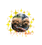 レックアンドチーズ(チーズメイン)（個別スタンプ：9）