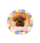 レックアンドチーズ(チーズメイン)（個別スタンプ：10）