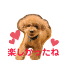 レックアンドチーズ(チーズメイン)（個別スタンプ：11）