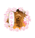 レックアンドチーズ(チーズメイン)（個別スタンプ：12）