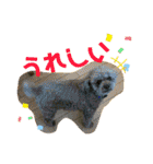 レックアンドチーズ(チーズメイン)（個別スタンプ：13）