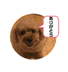 レックアンドチーズ(チーズメイン)（個別スタンプ：18）