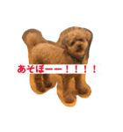 レックアンドチーズ(チーズメイン)（個別スタンプ：20）