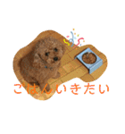 レックアンドチーズ(チーズメイン)（個別スタンプ：23）