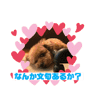 レックアンドチーズ(チーズメイン)（個別スタンプ：24）
