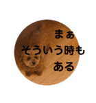 レックアンドチーズ(チーズメイン)（個別スタンプ：25）