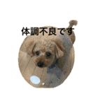 レックアンドチーズ(チーズメイン)（個別スタンプ：26）