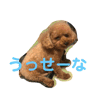 レックアンドチーズ(チーズメイン)（個別スタンプ：27）