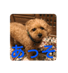 レックアンドチーズ(チーズメイン)（個別スタンプ：31）