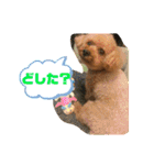 レックアンドチーズ(チーズメイン)（個別スタンプ：32）