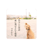 レックアンドチーズ(チーズメイン)（個別スタンプ：33）