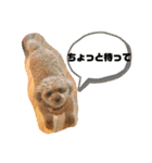 レックアンドチーズ(チーズメイン)（個別スタンプ：35）