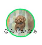 レックアンドチーズ(チーズメイン)（個別スタンプ：39）